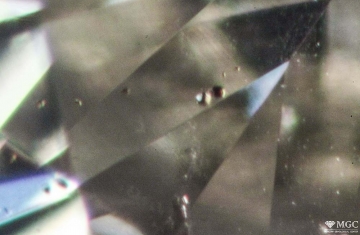 The inclusion of pyrope in natural diamond. View mode - dark-field lighting.