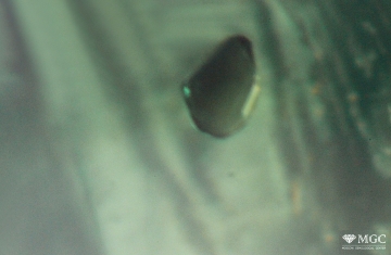 Inclusion of phlogopite in natural emerald. View mode - dark lighting.