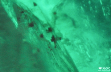 Mineral inclusions group in natural emerald (Kafubu deposit, Zambia). View mode - dark lighting.