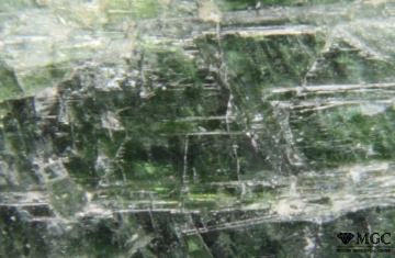Cr-tremolite with talc inclusions (Emerald mines, the Urals). View Mode - reflected light