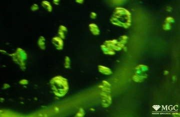 Two-phase inclusions in natural chrome diopside. View mode - dark field lighting