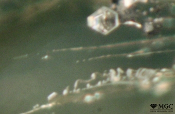 The inclusion of the type of reverse crystal and two-phase inclusions in synthetic moissanite. View mode - dark field lighting