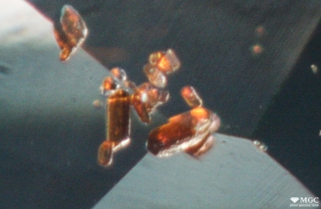 Группа кристаллов рутила в природном сапфире. Режим просмотра - тёмнопольное освещение.