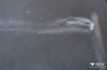Скелетный кристалл флюорита типа "Хвост кометы" (Волдарск-Волынское месторождение, Украина). Режим просмотра - тёмнопольное освещение.