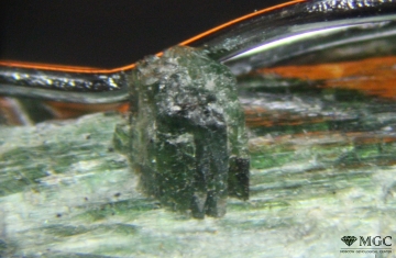 Кристалл Cr-тремолита в тальковом сланце (Изумрудные копи, Урал). Режим просмотра - отраженный свет