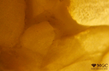 Среднеразмерные округлые реликты исходного сырья в блоке агломерированного янтаря. Режим просмотра – проходящий свет