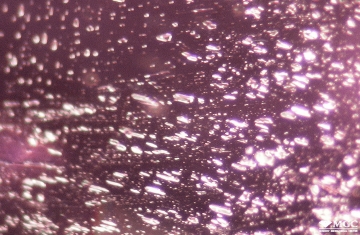 Two-phase inclusions in natural amethyst. View mode - reflected light.