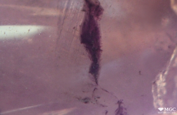 The accumulation of dye in the cavity on the surface of natural colored quartz. View mode - dark lighting.