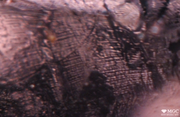 The characteristic pattern of veils in synthetic amethyst. View mode - reflected light.