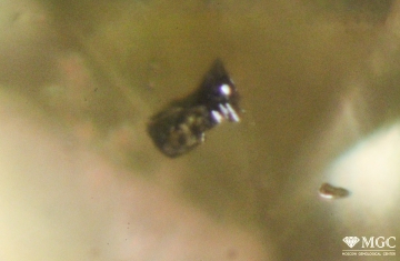 Flux inclusions in synthetic diamond grown by HPHT. View mode - dark field.