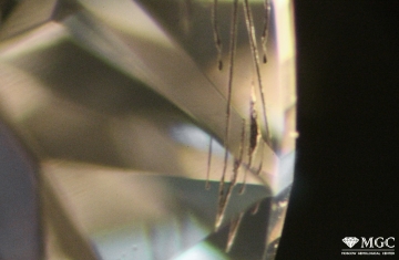 Flux inclusions in HPHT-synthesized diamond. View mode - dark field lighting
