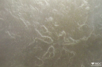 Growth lines of nacre and stripping of nakra layers on the surface of freshwater pearls. View Mode - reflected Light