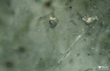 Two-phase inclusions in natural emerald. View mode - dark lighting.