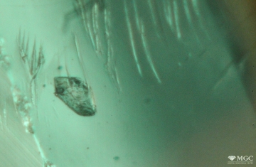 Two-phase inclusions in natural emerald. View mode - dark lighting.