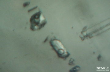Three-phase inclusions in natural emerald. View mode - dark lighting.