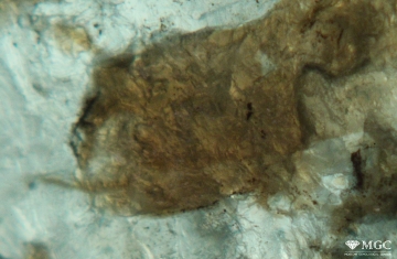 Inclusion of phlogopite in natural emerald (Emerald mines region, Ural). View mode - transmitted diffused light.