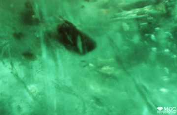 Dark mineral inclusion in natural emerald (Kafubu deposit, Zambia). View mode - dark lighting.