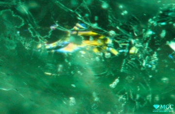 Flash effect (blue and yellow) from cracks in an emerald filled with organic matter (vegetable oil), and uneven distribution of the organic matter of the filler in the crack. View mode - transmitted light.