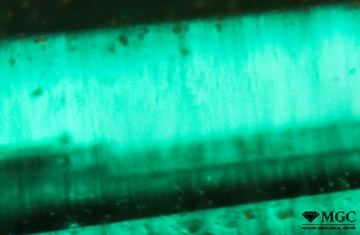 Color and structural zonality in synthetic emerald. View mode - transmitted light.