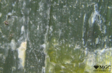 Serpentinite. Variety - Bovenit. Imitation of Jade (deposit Bazhenovsky, Middle Ural). View Mode - reflected light