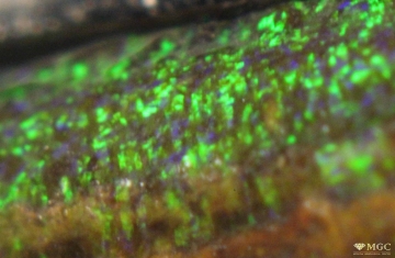 Prickly colored spots with a granular snake-skin pattern in synthetic opal. View mode - reflected light.
