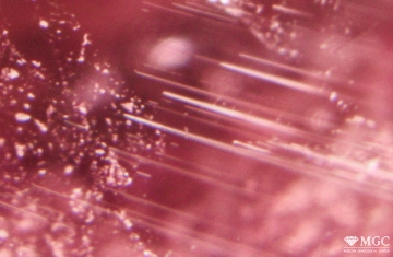 Tubular "tubules" in natural thermally treated tourmaline tourmaline. View mode - transmitted light.