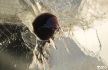 The inclusion of pomegranate in natural chrysolite. View mode - reflected light.