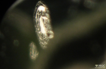 Mineral inclusion with a veil of two-phase inclusions in natural chrysolite. View mode - dark-field lighting.
