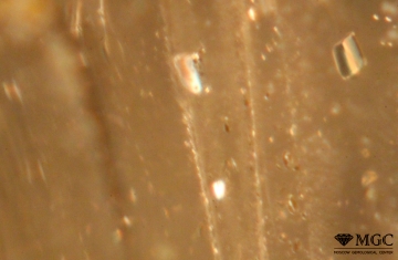 Tubular veil of mineral inclusions in natural citrine (deposit Volodarsk-Volynskoe, Ukraine). View mode - dark field lighting