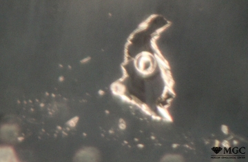 Three-phase inclusion in natural citrine. View mode - dark field lighting