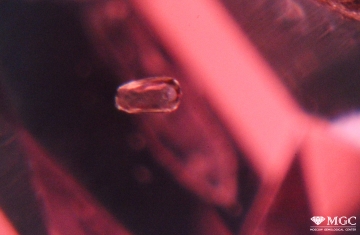 The inclusion of apatite in natural spinel (Tanzania). View mode - reflected light.
