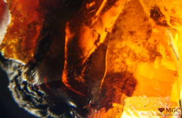 Part of charred bark in amber, Baltic. View mode - dark field lighting