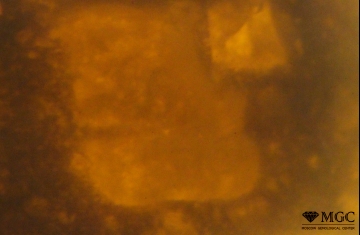 Small-sized angular relics of the feedstock in the block of agglomerated amber. View mode - transmitted light