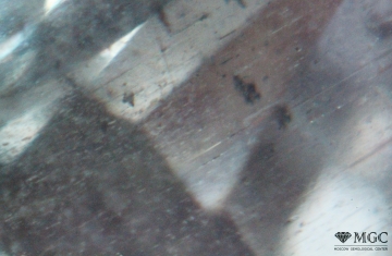Dendritic mineral inclusions in natural aquamarine. View mode - dark field lighting.