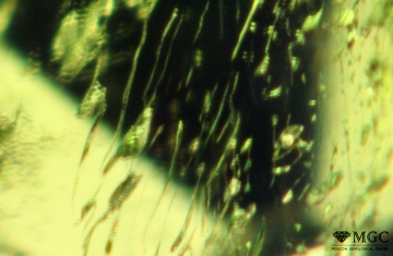 Three-phase inclusions in natural chrome-diopside. View mode - dark field lighting