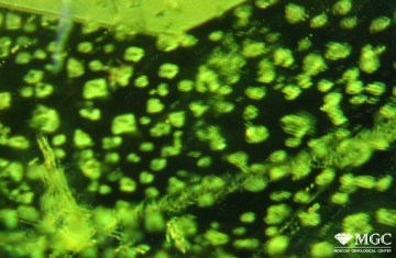 Inclusions of type reverse crystal in natural chrome-diopside. View mode - dark field lighting