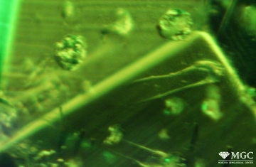 Mineral inclusions of apatite in natural chrome-diopside. View mode - dark-field lighting