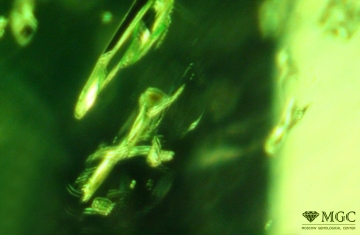 Inclusions of phlogopite in natural chrome-diopside. View mode - dark field lighting