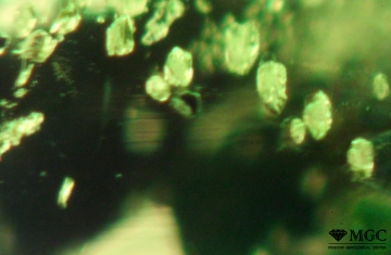 Mineral inclusions of apatite and potassium feldspar in natural chrome diopside. View mode - dark field lighting