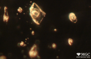 Обратные кристаллы с двух- и трехфазными включениями в природном цитрине. Режим просмотра - темнопольное освещение