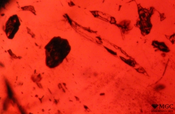 Mineral and multiphase inclusions in natural almandine. View mode - dark field lighting