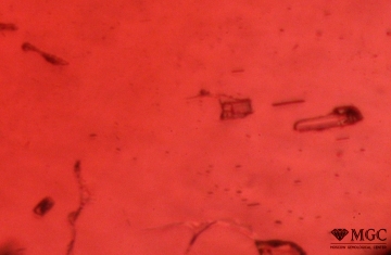 Multiphase inclusions in natural almandine. View mode - dark field lighting
