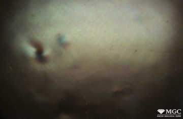 Оптический эффект сгущения окраски в "бугорках" на поверхности культивированного жемчуга               "Южных Морей". Режим просмотра - отражённый свет.